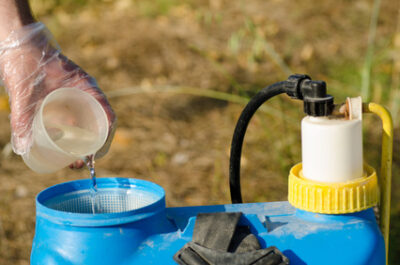 Welchen Wasserfilter gegen Pestizide kaufen?